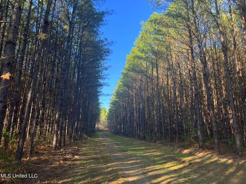 1242 Rock Hill Rd # A, Como, MS 38619 photo 70