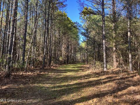 1242 Rock Hill Rd # A, Como, MS 38619 photo 65