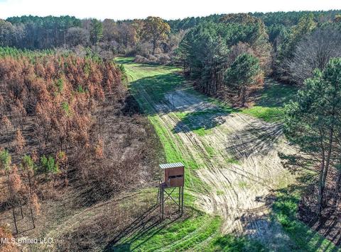 1242 Rock Hill Rd # A, Como, MS 38619 photo 44