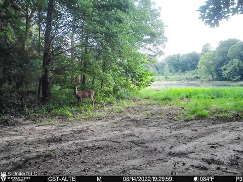 1242 Rock Hill Rd # A, Como, MS 38619 photo 139