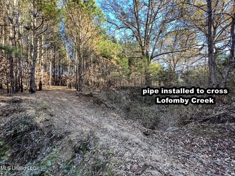 1242 Rock Hill Rd # A, Como, MS 38619 photo 59