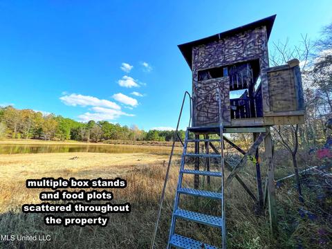 1242 Rock Hill Rd # A, Como, MS 38619 photo 24