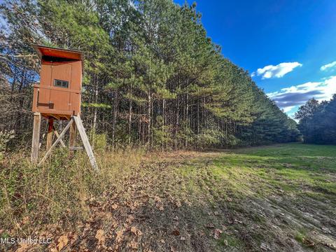 1242 Rock Hill Rd # A, Como, MS 38619 photo 38