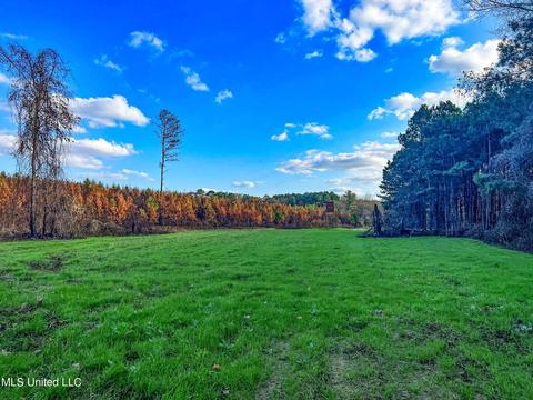 1242 Rock Hill Rd # A, Como, MS 38619 photo 46