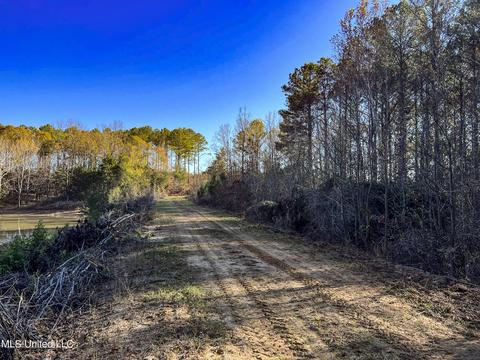1242 Rock Hill Rd # A, Como, MS 38619 photo 61