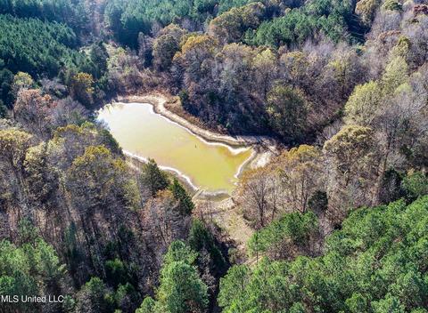 1242 Rock Hill Rd # A, Como, MS 38619 photo 56