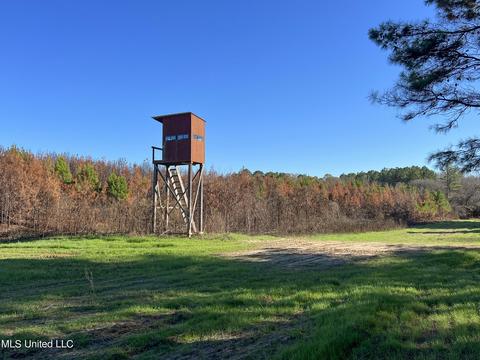 1242 Rock Hill Rd # A, Como, MS 38619 photo 47