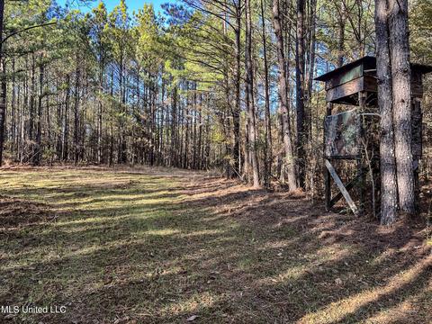 1242 Rock Hill Rd # A, Como, MS 38619 photo 66