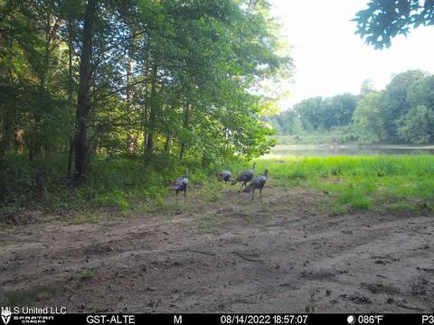 1242 Rock Hill Rd # A, Como, MS 38619 photo 130