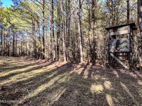 1242 Rock Hill Rd # A, Como, MS 38619 photo 67