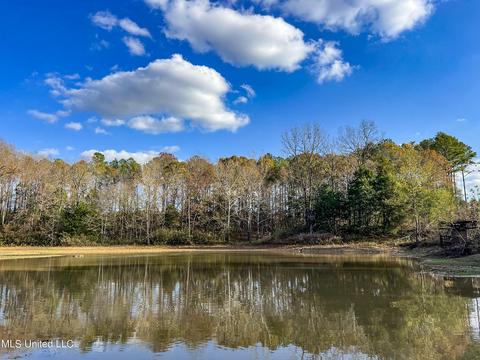 1242 Rock Hill Rd # A, Como, MS 38619 photo 63