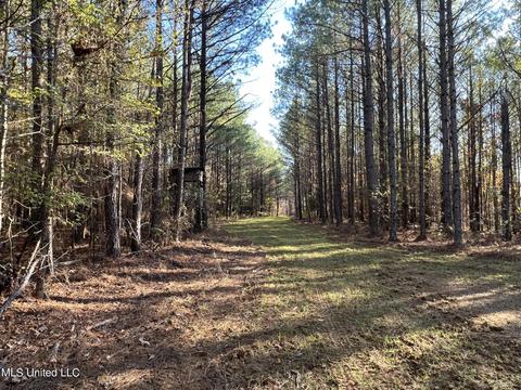 1242 Rock Hill Rd # A, Como, MS 38619 photo 68