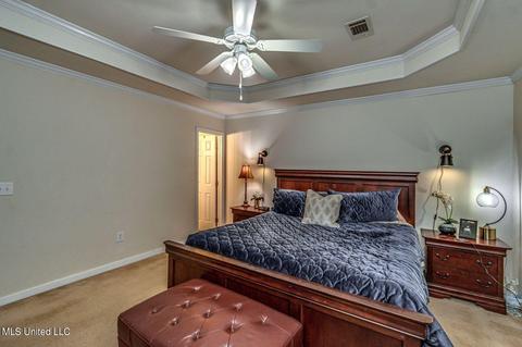 130 Cedar Spring Cir, Pearl, MS 39208 photo 19