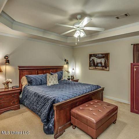 130 Cedar Spring Cir, Pearl, MS 39208 photo 18