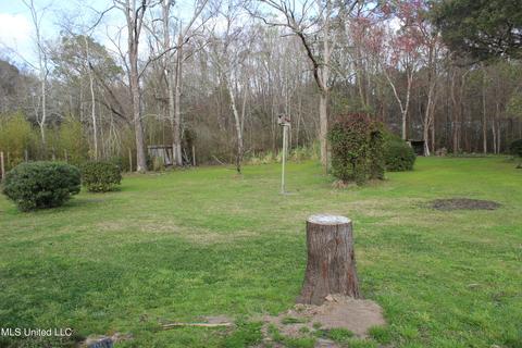 9908 Cedarcliff Dr, Moss Point, MS 39562 photo 28