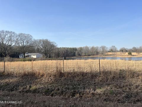 26781 E Hwy 310, Como, MS 38619 photo 2
