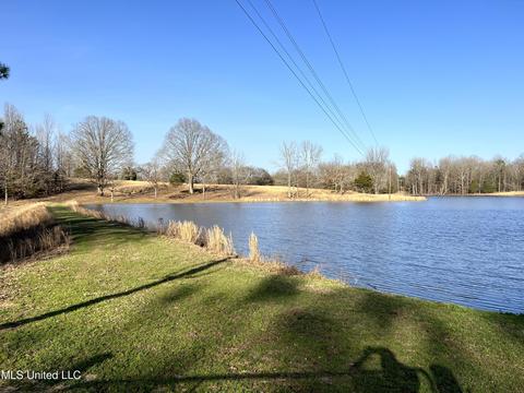 26781 E Hwy 310, Como, MS 38619 photo 9