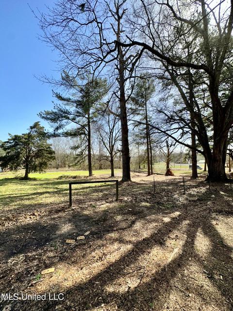 1114 W Oak Grove Rd, Hernando, MS 38632 photo 22