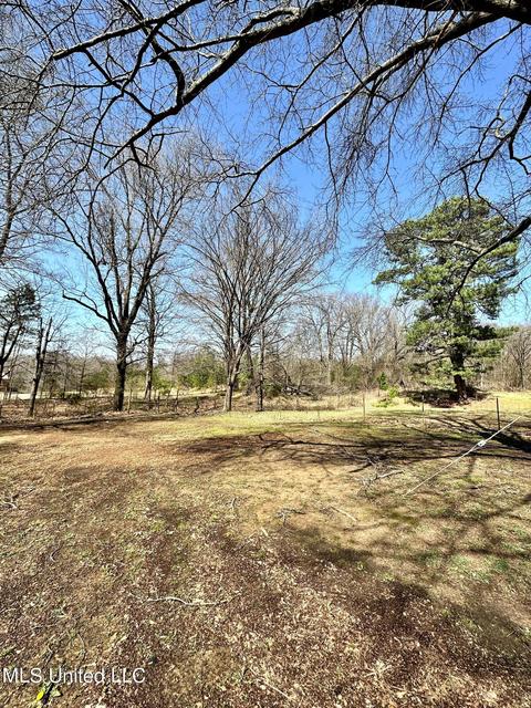 1114 W Oak Grove Rd, Hernando, MS 38632 photo 19
