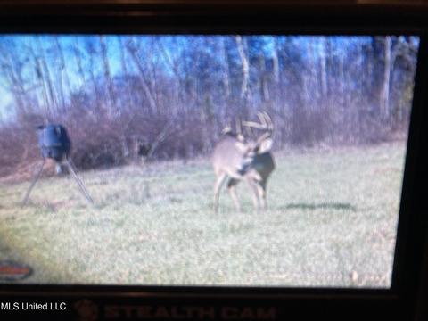 Robinson Road, Carthage, MS 39051