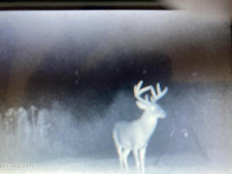 Robinson Road, Carthage, MS 39051 photo 8