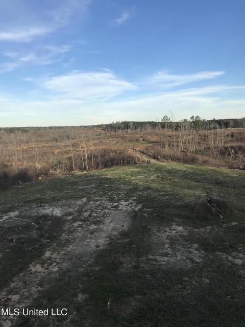 Robinson Road, Carthage, MS 39051 photo 11