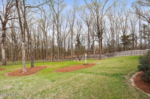 105 Silverleaf Dr, Madison, MS 39110 photo 40