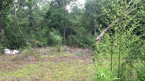 120 Brock Rd, Lucedale, MS 39452 photo 9