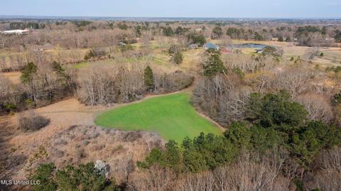 11663 Springridge Rd, Terry, MS 39170 photo 99