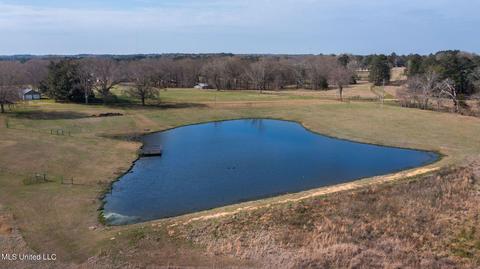 11663 Springridge Rd, Terry, MS 39170 photo 113
