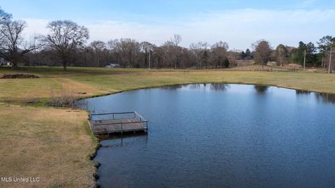 11663 Springridge Rd, Terry, MS 39170 photo 120