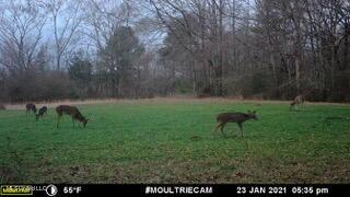 11663 Springridge Rd, Terry, MS 39170 photo 125