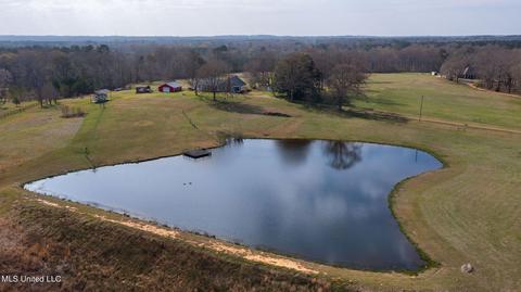11663 Springridge Rd, Terry, MS 39170 photo 114