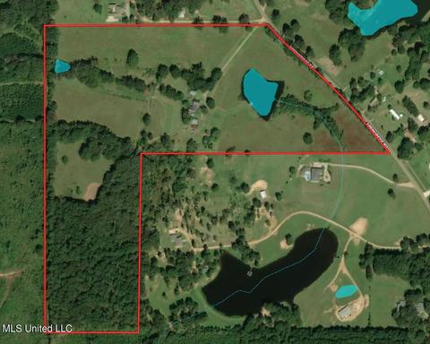 11663 Springridge Rd, Terry, MS 39170 photo 128
