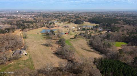 11663 Springridge Rd, Terry, MS 39170 photo 91