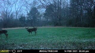 11663 Springridge Rd, Terry, MS 39170 photo 123