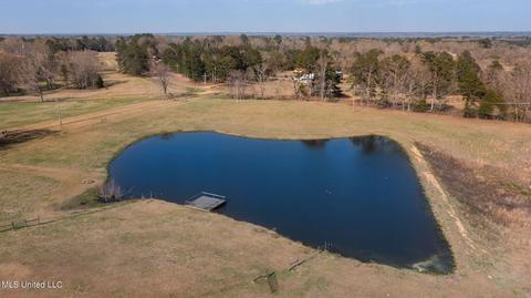 11663 Springridge Rd, Terry, MS 39170 photo 112