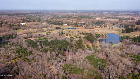 11663 Springridge Rd, Terry, MS 39170 photo 116