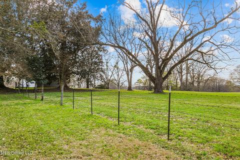 11663 Springridge Rd, Terry, MS 39170 photo 75
