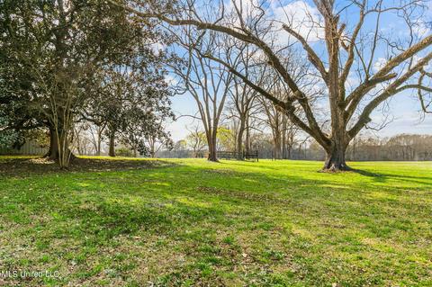 11663 Springridge Rd, Terry, MS 39170 photo 77