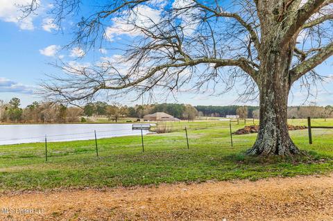 11663 Springridge Rd, Terry, MS 39170 photo 76