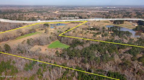 11663 Springridge Rd, Terry, MS 39170 photo 96