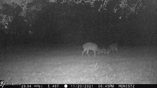 11663 Springridge Rd, Terry, MS 39170 photo 124