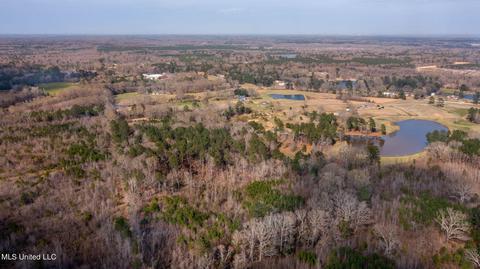 11663 Springridge Rd, Terry, MS 39170 photo 118