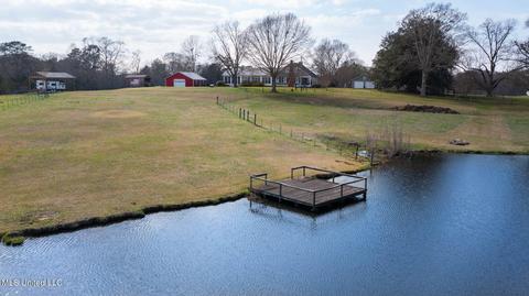 11663 Springridge Rd, Terry, MS 39170 photo 121