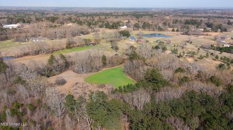 11663 Springridge Rd, Terry, MS 39170 photo 97