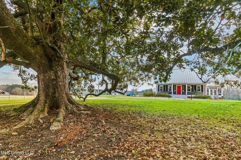11663 Springridge Rd, Terry, MS 39170 photo 81
