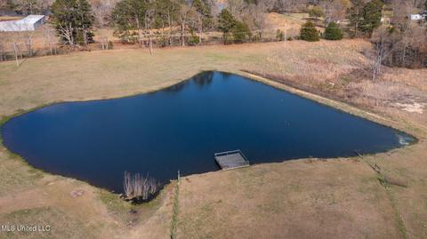 11663 Springridge Rd, Terry, MS 39170 photo 111