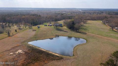 11663 Springridge Rd, Terry, MS 39170 photo 115