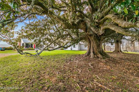11663 Springridge Rd, Terry, MS 39170 photo 79